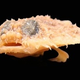 Image for article titled Weird Science!